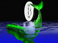 New Bitcoin Whales Surpass Long-Term Holders – What Does It Mean for the Market?