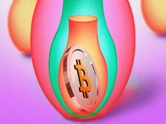 Bitcoin’s Institutional Boom: Bubble or Historic Turning Point in Corporate Finance?